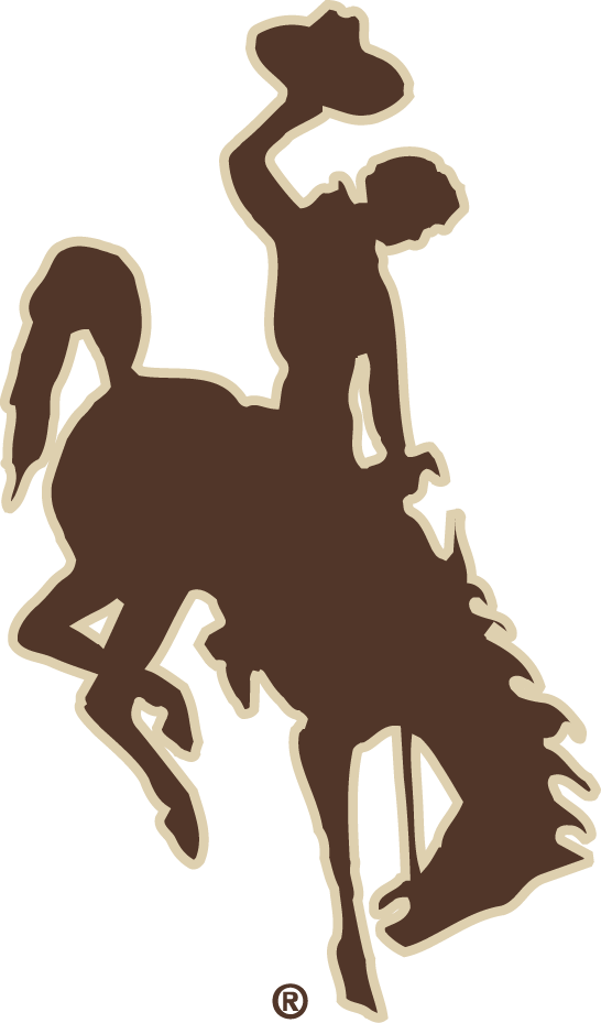 Wyoming Cowboys 2006-2012 Alternate Logo diy DTF decal sticker